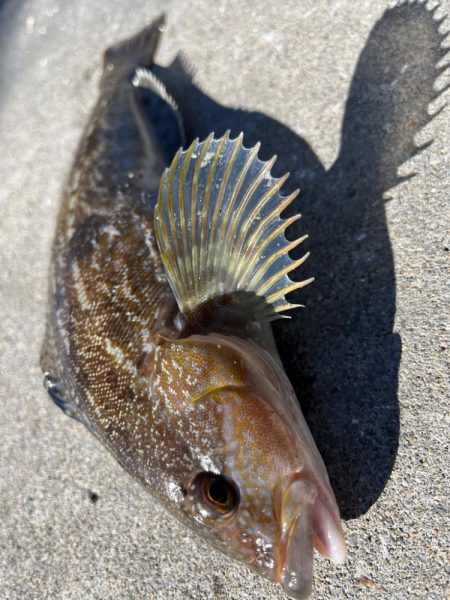ちょー久々堤防ロック