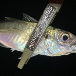 カスタムロッド試投・中アジ探し