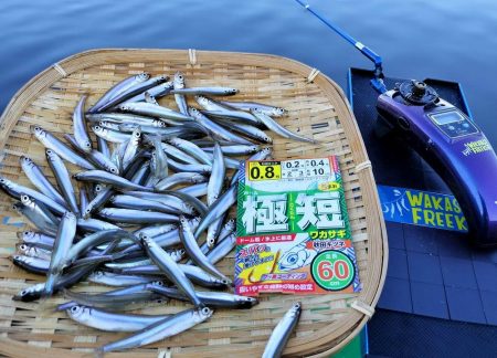愛知県入鹿池ボート ワカサギ釣り！