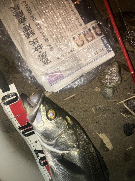 ががっときました。