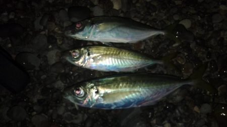 いつものフロートゲーム～