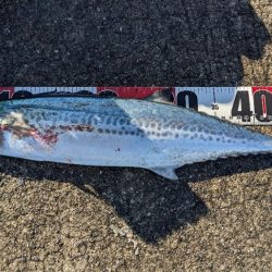 ハプニングあるも