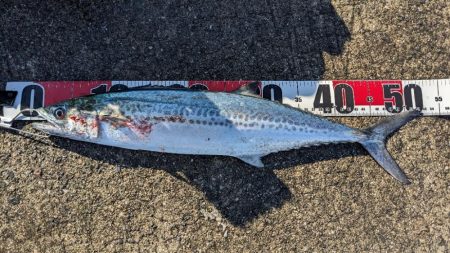 ハプニングあるも