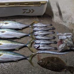 オフショアは楽しい