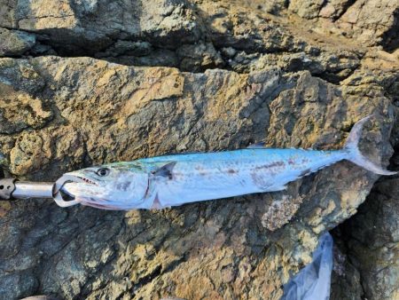 釣れている感じ