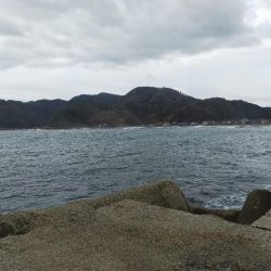 ぎりぎりハマチ?