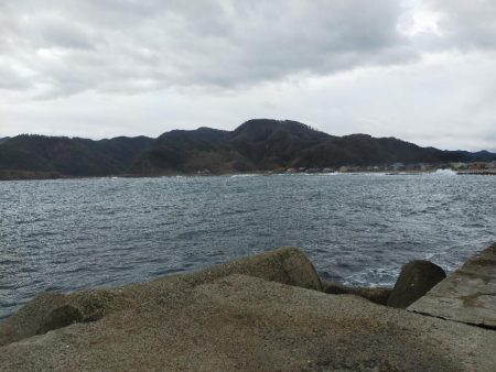 ぎりぎりハマチ?