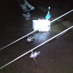 苅屋海岸の投げ釣り