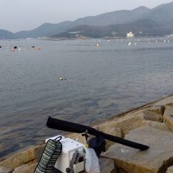 室津のキス釣り