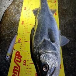 前回いい思いをしたので☺️