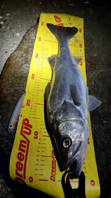 前回いい思いをしたので☺️