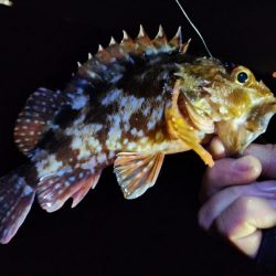 今年もあとわずか