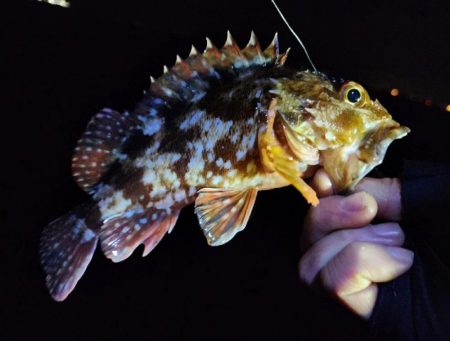 今年もあとわずか