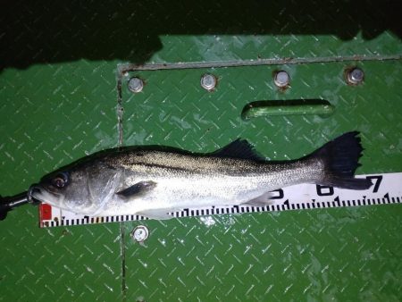 久しぶりの70オーバー