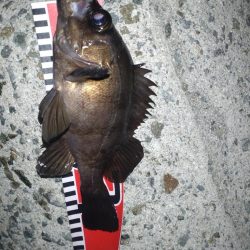 初めてのフロート