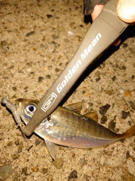 バイシクルアジング