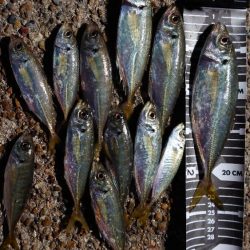 不完全燃焼！？