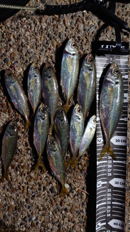 不完全燃焼！？