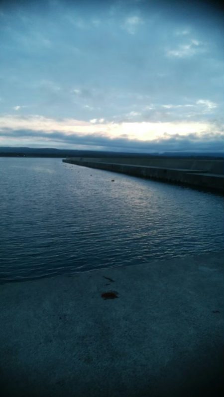 アジング、グレ、キジハタ!