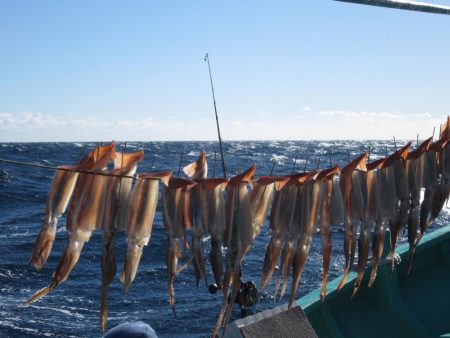 するめいか　10杯～52杯～54杯