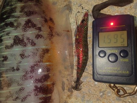 キロアップIN対馬