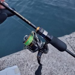 下津~湯浅間アジング情報提供します。