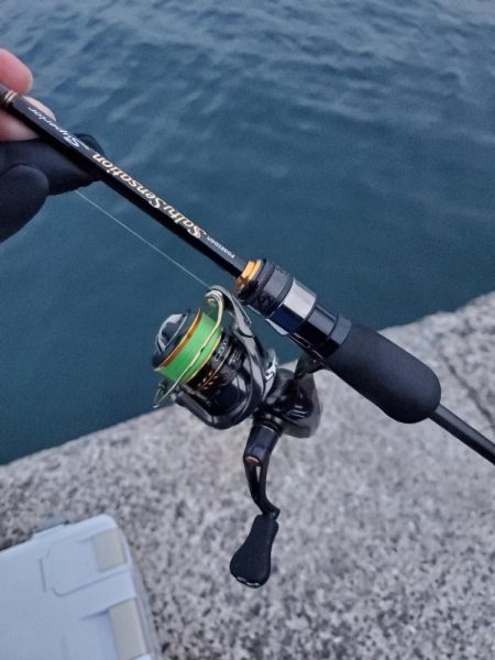 下津~湯浅間アジング情報提供します。