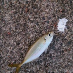 ツイてなかった