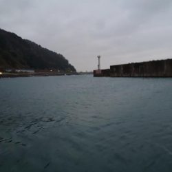 20cm超えが多くなってきました。