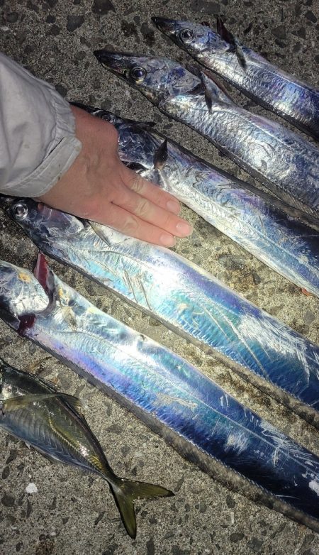 見頃の流星群、釣り頃のタチウオ