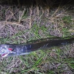 春と秋のコラボ