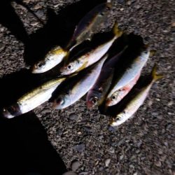 サイズupを狙ってみましたが