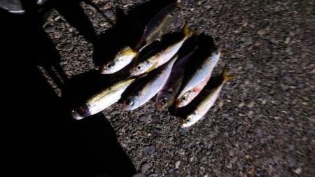 サイズupを狙ってみましたが