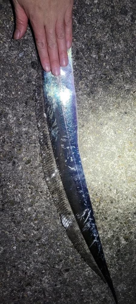 寒波前の釣り収め