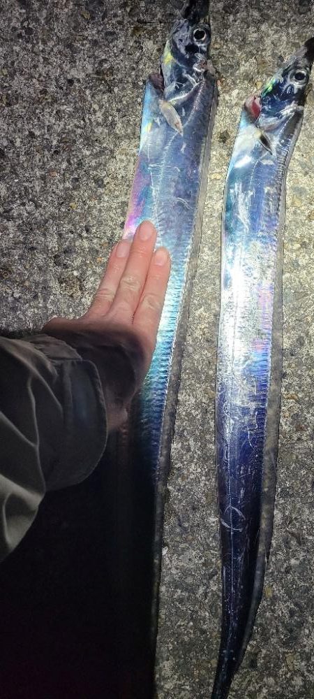 ちょっと遅めの Xmas釣りー