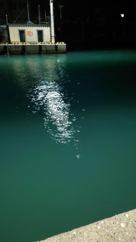 平均的な釣果でした。