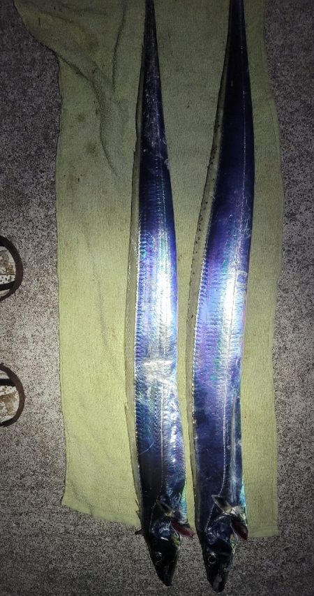 来たらデカい!というやつ