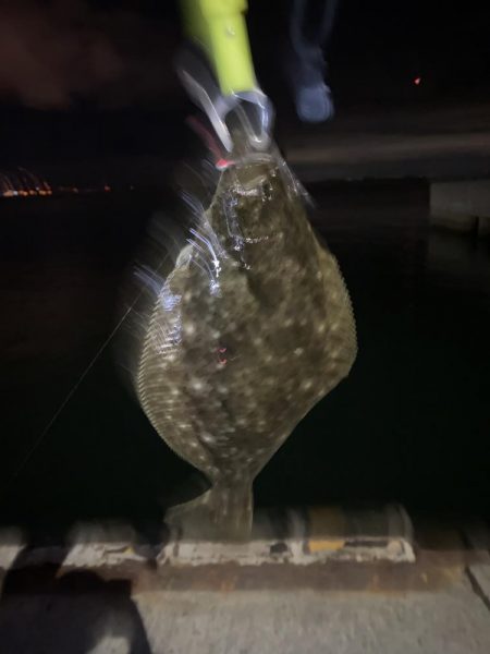 アジング中にまさかの！！