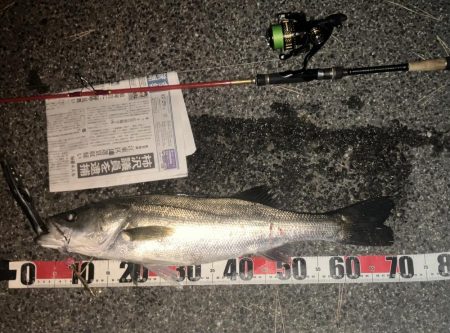 釣り納め　今季70本目