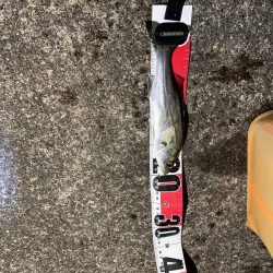 フロートの威力…。