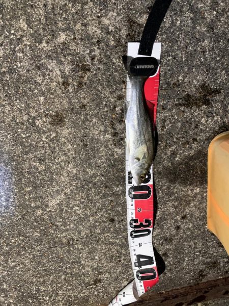 フロートの威力…。