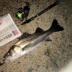 ががっときました。