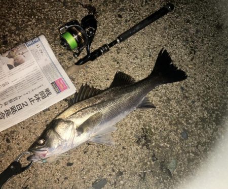 ががっときました。