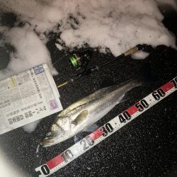 ががっときました。