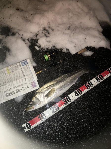 ががっときました。