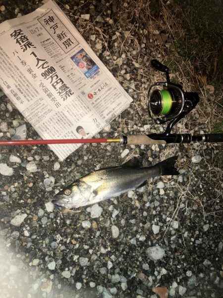 ががっときました