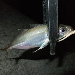 なんとかツ抜け