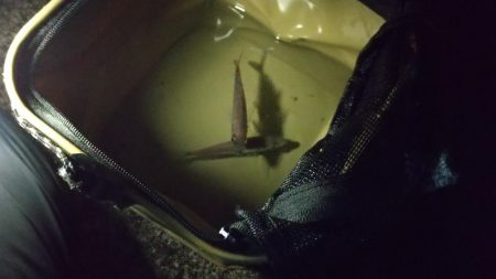 もれなく小さい