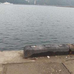 今年最後の釣行は?