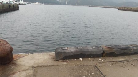 今年最後の釣行は?